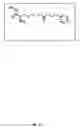 Fig. 26 - Bi-terminal pegylated integrin-binding peptides and methods of use thereof