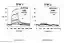 Fig. 12 - TFPI inhibitors and methods of use