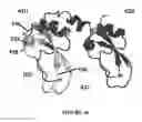 Fig. 201 - TFPI inhibitors and methods of use