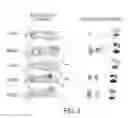 Fig. 03 - Modification of cupredoxin derived peptides