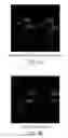 Fig. 05 - Modification of cupredoxin derived peptides