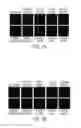 Fig. 09 - Modification of cupredoxin derived peptides
