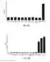 Fig. 10 - Modification of cupredoxin derived peptides