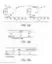 Fig. 20 - Modification of cupredoxin derived peptides