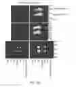 Fig. 24 - Modification of cupredoxin derived peptides