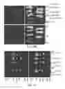 Fig. 28 - Modification of cupredoxin derived peptides