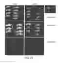 Fig. 31 - Modification of cupredoxin derived peptides