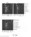 Fig. 42 - Modification of cupredoxin derived peptides