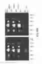 Fig. 47 - Modification of cupredoxin derived peptides