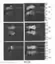 Fig. 49 - Modification of cupredoxin derived peptides