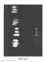 Fig. 55 - Modification of cupredoxin derived peptides
