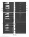 Fig. 62 - Modification of cupredoxin derived peptides