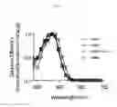 Fig. 02 - BLUE LIGHT-ACTIVATED ION CHANNEL MOLECULES AND USES THEREOF
