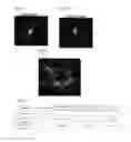 Fig. 04 - BLUE LIGHT-ACTIVATED ION CHANNEL MOLECULES AND USES THEREOF