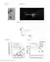 Fig. 06 - BLUE LIGHT-ACTIVATED ION CHANNEL MOLECULES AND USES THEREOF