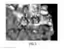 Fig. 05 - Chagasin-based scaffold compositions, methods, and uses