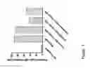Fig. 02 - DR6 Receptor Mediates the Leukemia Differentiation Activity of Angiocidin: A Potent Anti-Tumor Peptide