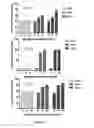 Fig. 08 - DR6 Receptor Mediates the Leukemia Differentiation Activity of Angiocidin: A Potent Anti-Tumor Peptide