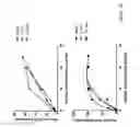 Fig. 11 - DR6 Receptor Mediates the Leukemia Differentiation Activity of Angiocidin: A Potent Anti-Tumor Peptide