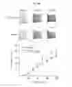 Fig. 11 - Kv2.1 channel-derived peptides and methods of use