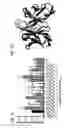 Fig. 06 - Nucleic acid molecules encoding combinatorial gamma 9 delta 2 T-cell receptors and methods of use thereof to treat cancer