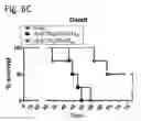 Fig. 15 - Nucleic acid molecules encoding combinatorial gamma 9 delta 2 T-cell receptors and methods of use thereof to treat cancer