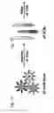 Fig. 16 - Nucleic acid molecules encoding combinatorial gamma 9 delta 2 T-cell receptors and methods of use thereof to treat cancer