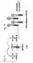 Fig. 17 - Nucleic acid molecules encoding combinatorial gamma 9 delta 2 T-cell receptors and methods of use thereof to treat cancer