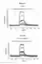 Fig. 09 - Multivalent heteromultimer scaffold design and constructs