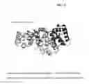 Fig. 12 - Multivalent heteromultimer scaffold design and constructs