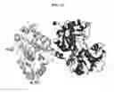 Fig. 14 - Multivalent heteromultimer scaffold design and constructs
