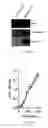 Fig. 03 - Recombinant Bacterium and Uses Thereof