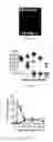 Fig. 06 - Recombinant Bacterium and Uses Thereof