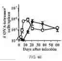 Fig. 07 - Recombinant Bacterium and Uses Thereof