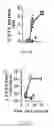 Fig. 11 - Recombinant Bacterium and Uses Thereof