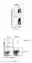 Fig. 13 - Recombinant Bacterium and Uses Thereof