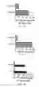 Fig. 18 - Recombinant Bacterium and Uses Thereof