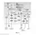 Fig. 04 - Peptide inhibitors of BCR-ABL oligomerization