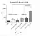 Fig. 28 - Peptide inhibitors of BCR-ABL oligomerization