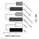 Fig. 30 - Peptide inhibitors of BCR-ABL oligomerization