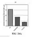 Fig. 42 - Peptide inhibitors of BCR-ABL oligomerization