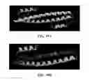 Fig. 45 - Peptide inhibitors of BCR-ABL oligomerization