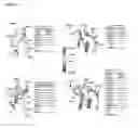 Fig. 13 - IMMUNOGENETIC RESTRICTION ON ELICITATION OF ANTIBODIES