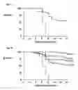 Fig. 10 - Antibodies directed to ricin toxin
