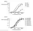 Fig. 11 - Antibodies directed to ricin toxin