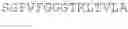 Fig. 43 - Antibodies directed to ricin toxin