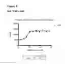 Fig. 62 - Anti-CGRP compositions and use thereof