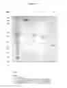 Fig. 16 - ANTIBODIES WITH MODIFIED ISOELECTRIC POINTS