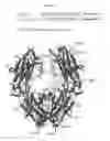 Fig. 35 - ANTIBODIES WITH MODIFIED ISOELECTRIC POINTS