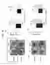 Fig. 05 - METHOD FOR TREATING ANTIBODY-MEDIATED REJECTION POST-TRANSPLANTATION